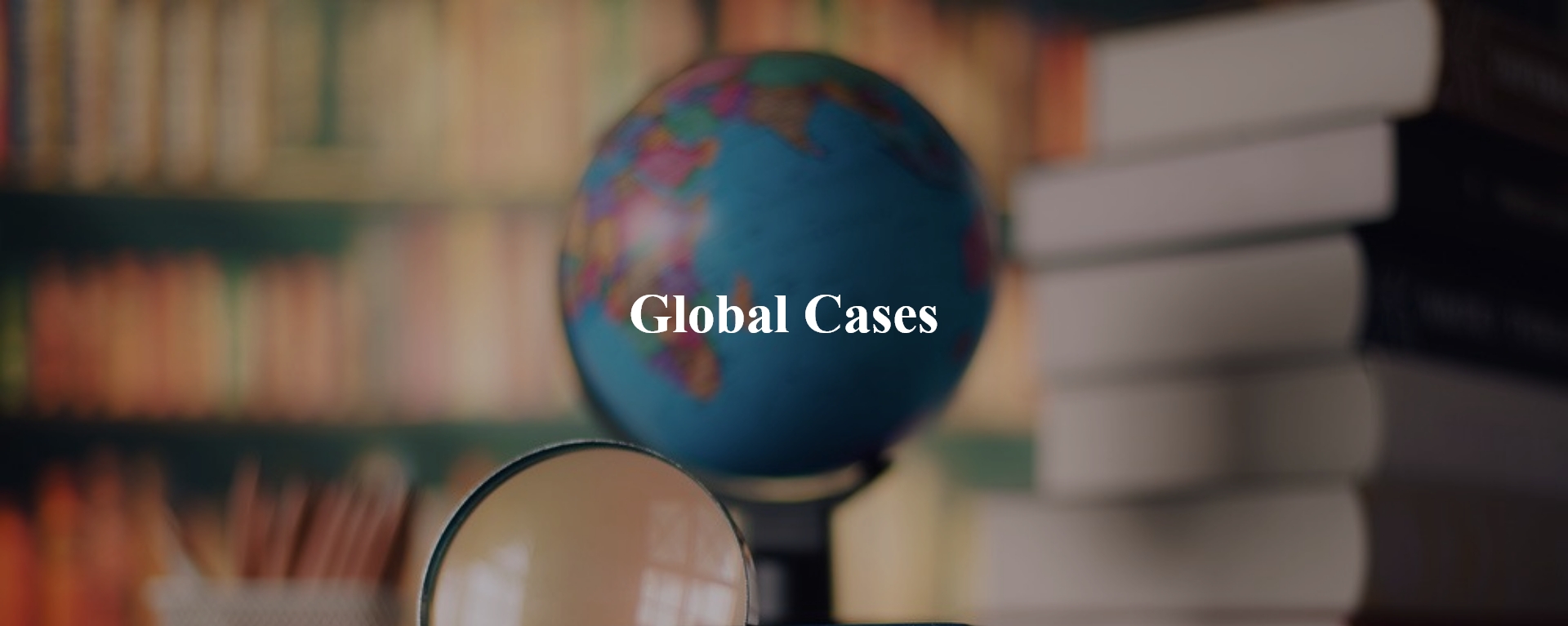 Global Cases in Aisa-Fujitech